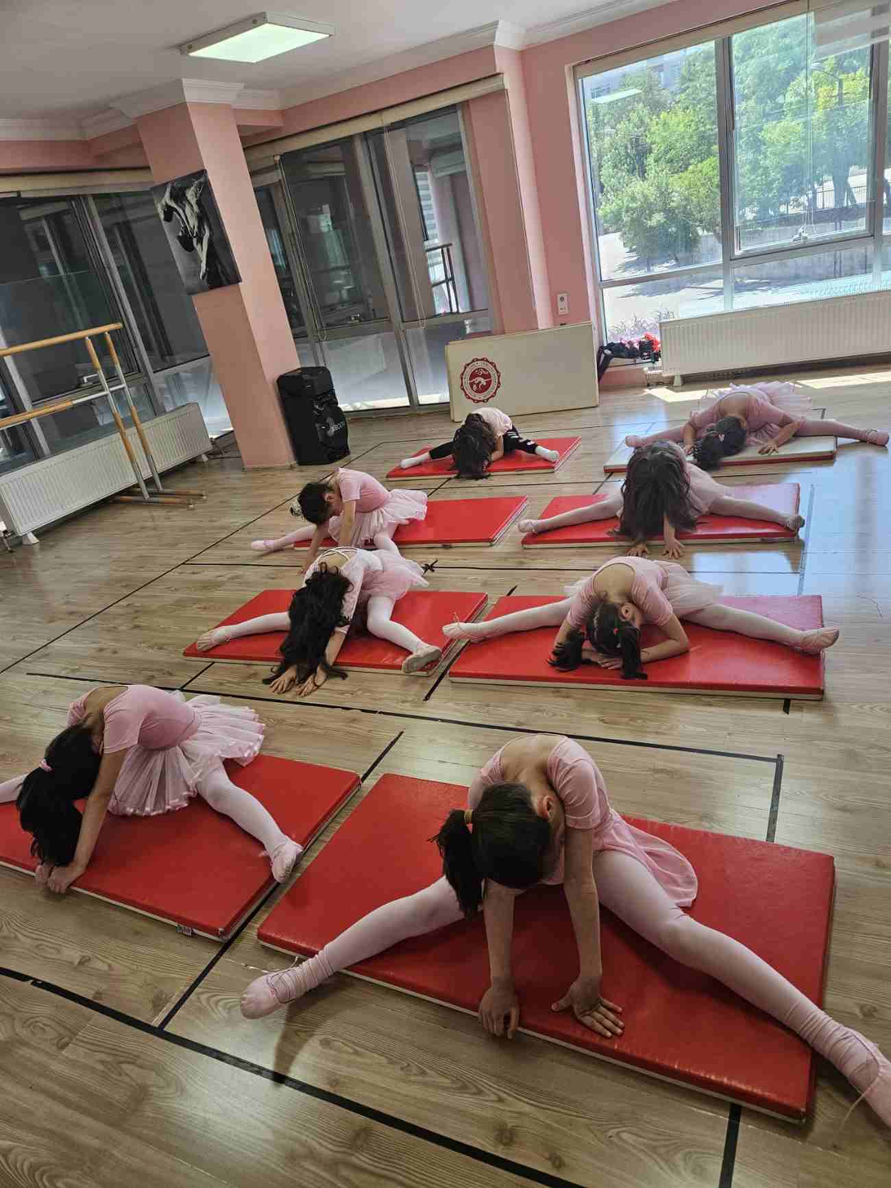 Demiurk Kostüm ve Organizasyon - İskitler Dans Okulları - 4. Fotoğraf