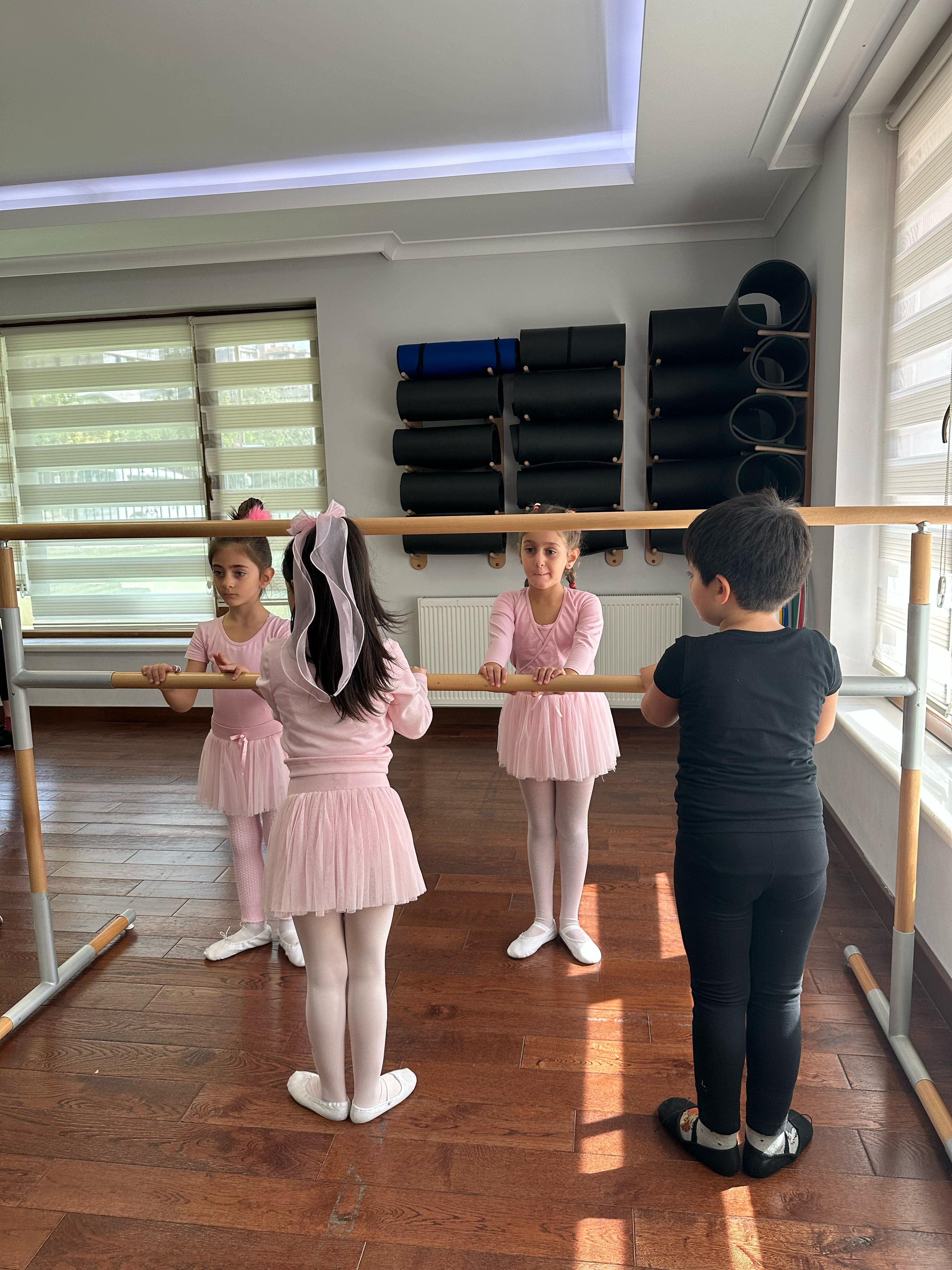 TC. MEB Düş Sanat Akademi